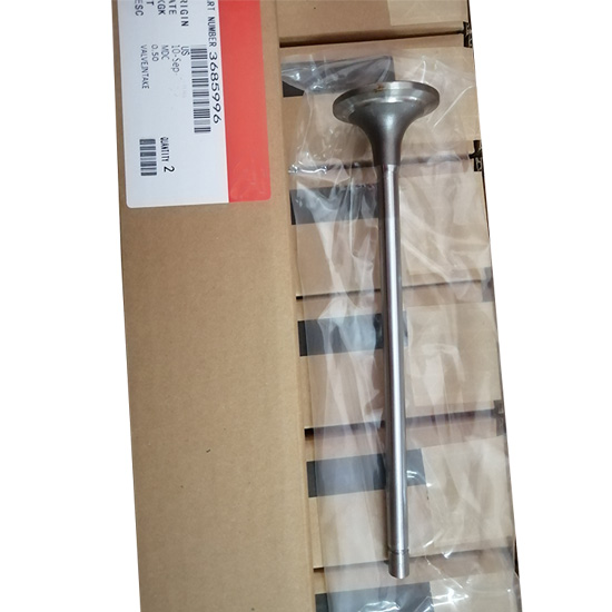 4965868 3685996 intake valve